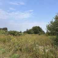 Apleistų sklypų tvarkymas