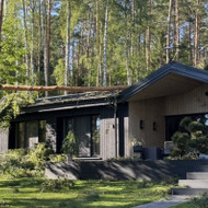 Audros išvartytų medžių tvarkymas