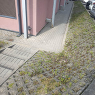 Vejos priežiūra, įrengimas