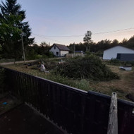 Šakų smulkinimas
