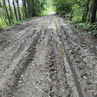 Ieškoma, kas galėtų įrengti žvyrkelį iki sodybos, kelio atstumas apie 700 metrų