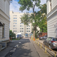 Medžių genėjimas, pjovimas