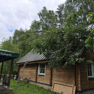 Medžio pašalinimas nuo namo. Kernavė