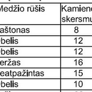 Vilniuje reikia išpjauti medžius, krumus ir susmulkinti