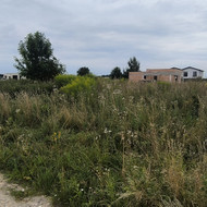 Žolės nupjovimas