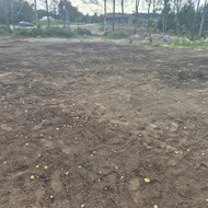 Vejos lyginimas