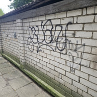 Grafiti plovimas