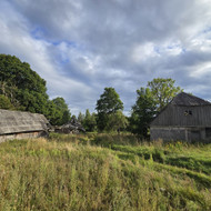 Griovimas