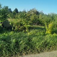 Šakų smulkinimas