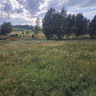 Žolės nupjovimo
