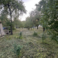 Vaismedžių pjovimas