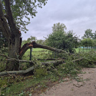 Suremontuoti tinklinę tvorą