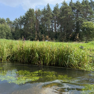 Lieptui metalinis karkasas