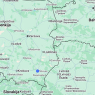 Reikia parvešti šuniuką nedidelį iš Lenkijos į Lietuvą į (Kauną)