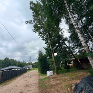 Avarinių medžių pjovimas
