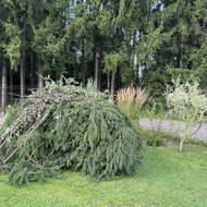 Šakų išvežimas