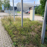 Kiemo tvarkymo paslaugų