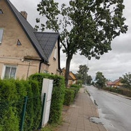 Avarinių medžių pjovimas