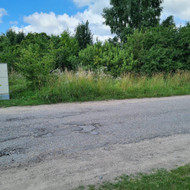 Norėčiau gauti pasiūlymą dėl apleisto sklypo (6A) sutvarkymo