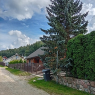 Medžių genėjimas, pjovimas