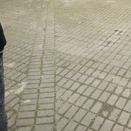 Nuplauti ~300 m2 betoninių trinkelių Kauno centre