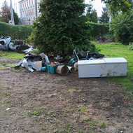 Siuksliu isvezimas Radviliskyje