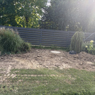 Apželdinimas