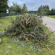 Išvežti šakas - iš pažiūros 1.5x1.5x1.5