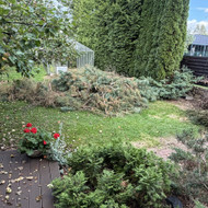 Šiukšlių išvežimas - nuopjauta pusis Vilniuje