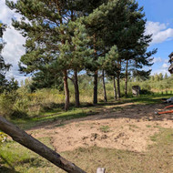 Avarinių medžių pjovimas