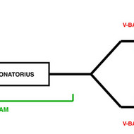 Duslintuvų remontas