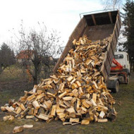 Ieškau sausų malkų