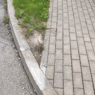 Ieškome kas galėtų atlikti kelinių bortų atstatymo, keitimo darbus - apie 20 vnt (20m)