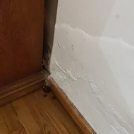 Tinkuotos vidinės buto sienos perdažymas