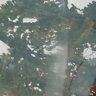 Automobilių stiklo poliravimas