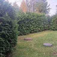 Gyvatvorių karpymas