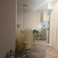 Seno veidrodžio nuėmimas, naujo gamyba ir klijavimas