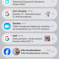 Reikia keisti stogą