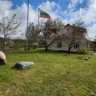 Medžių genėjimas, pjovimas