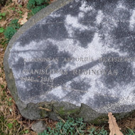 Paminklo raidžių dažymas