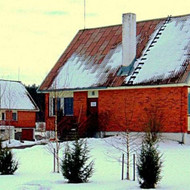 Reikia apskardinti alytnamio aukštą kaminą.