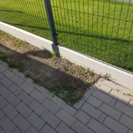 Gal kas galetu isbetonuoti borteli?